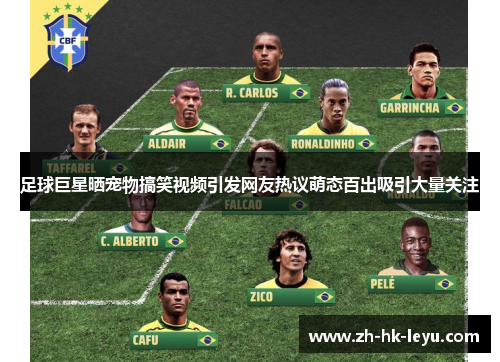 足球巨星晒宠物搞笑视频引发网友热议萌态百出吸引大量关注